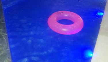 Residencial Toca Coruja - Armação - Florianópolis - Foto 4