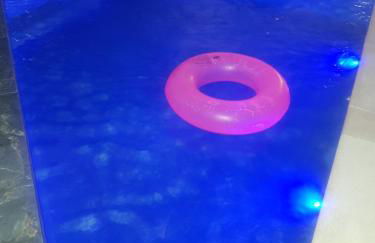 Residencial Toca Coruja - Armação - Florianópolis - Foto 4