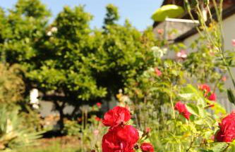 Apartment-Haus Gundelfinger - Foto 6