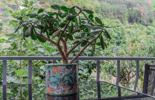 Recanto da Neta - Foto 30