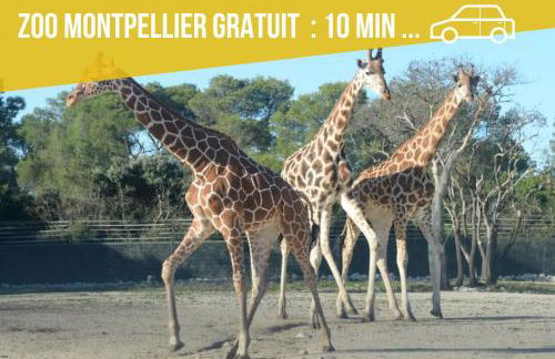 AMJA Proche clinique Saint-Roch apt 3 chambres 3 salles de bain parking gratuit idéal famille groupe coworking 10 min centre ville 10 min plage 5 min sortie autoroute - Foto 27