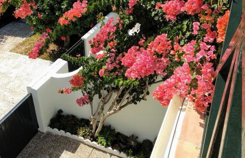 La Barrosa duplex - Foto 48