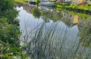 Villa Seeschwalbe Plau - Foto 65