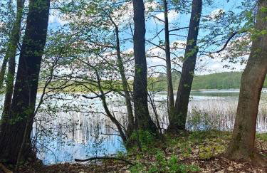 Leśna Ostoja w centrum Puszczy Nadnoteckiej otoczona 3 jeziorami - Foto 30
