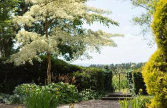 Nest Stay By The Butler Collection - Foto 56