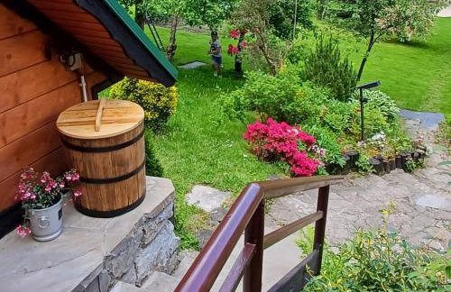 Domek pod Zielonym Dachem - Foto 10