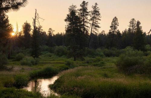 Little Deschutes Wildlife Lodge - Nature's Cabin - Foto 42
