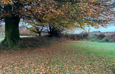 Winstitchen Cottage situated near the River Barle - Foto 67