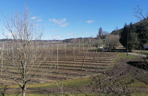 Ferienhof Hopfgärtle Müller - Foto 49