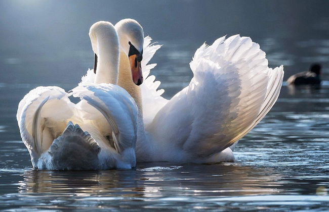 4 Person Holiday Home in Ellos - Foto 11