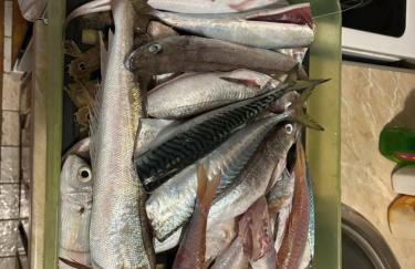 Apartment Mustapic - Foto 9