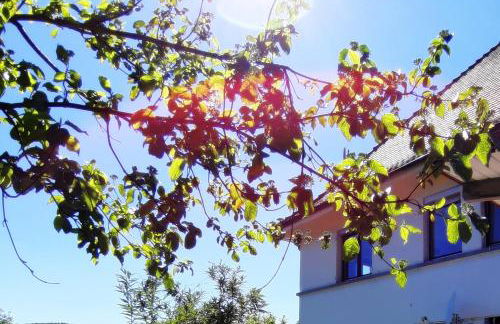 Ferienwohnung Albstadt Panorama - Foto 15