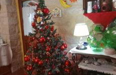 agriturismo Borgo degli Ulivi - Foto 37