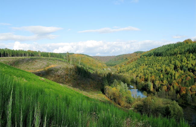 Zythogite Appartement 6 personnes - Foto 27