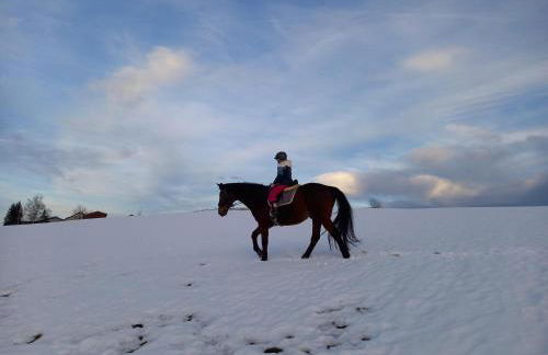 Ferienwohnung am Stießberg - Foto 37