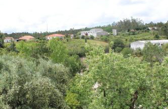 Casa Barbeiro - Foto 58
