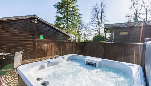 Birch Lodge 19 with Hot Tub - Foto 1