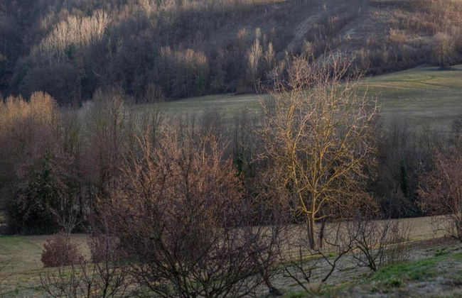 Charming Castle Stay, Robella - Foto 36