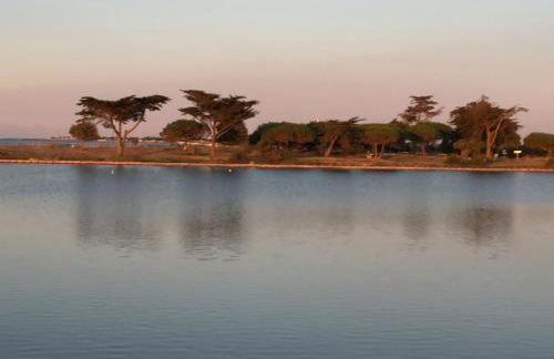 Villa Miha (New house Saint Martin de Ré) - Foto 56