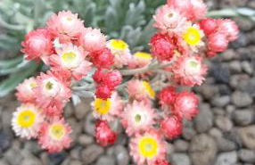 La piazzetta di Gra e Baldo - Foto 19