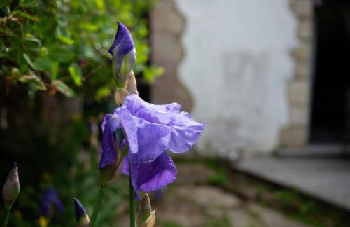 Charmante petite maison de pays à 200 m du Golfe - Foto 2
