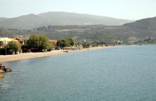 Cavos Fokidos - Foto 43