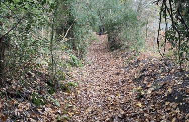 Pineview Retreat - Photo 52