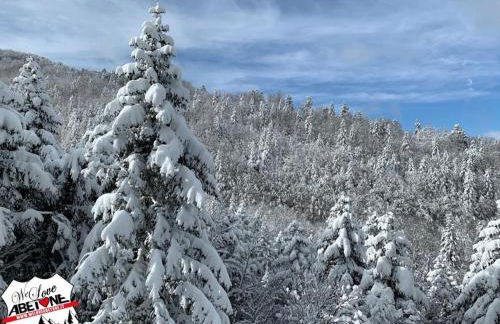 Appartamento La Volpe - Foto 16