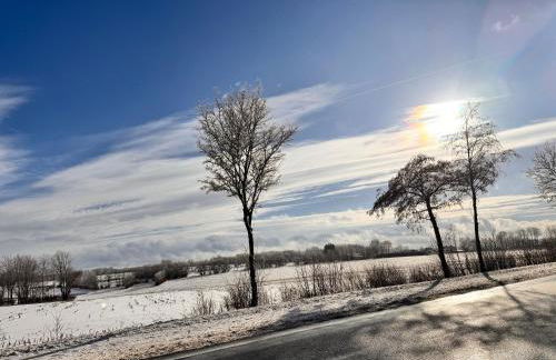 Noah - Seeleben auf Zeit am Rursee - Foto 27