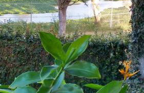 " Seu Cantinho" - Foto 48