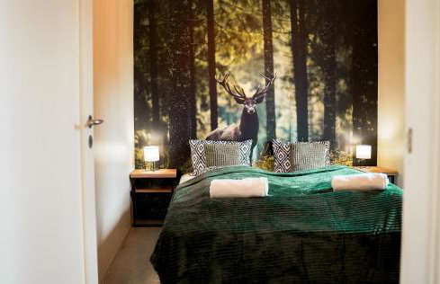 Domki Natura Zator - Foto 13