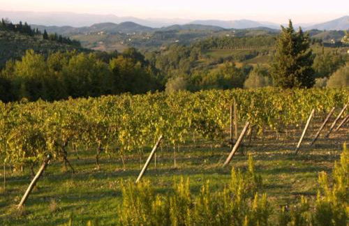 Tuscany Bliss: Garden Retreat - Foto 63