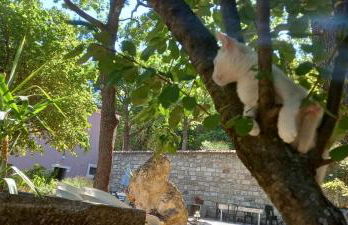 azienda agrituristica la torretta - Foto 31