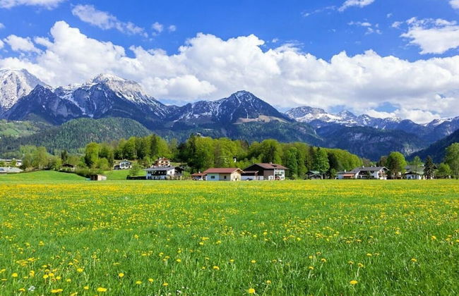 Rooster 2 -kierngasshausl- - Foto 5