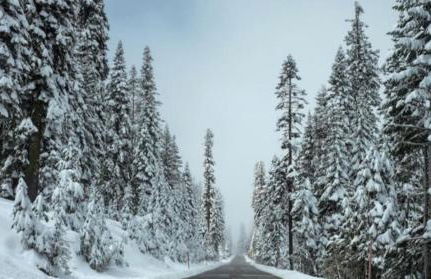 Sierra Pines Villa Deck Jetted Tub Game Rm - Photo 62