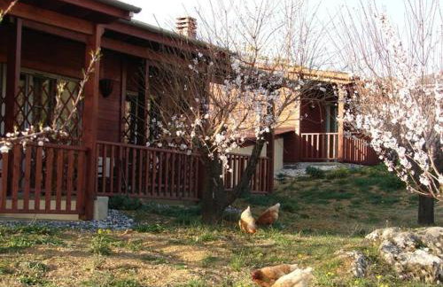 Villa Rustica - Photo 86