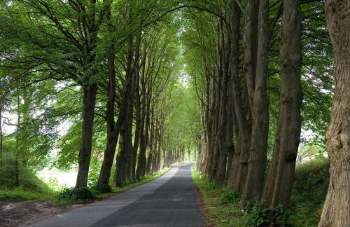 Grosses Rosenhuus - Foto 22