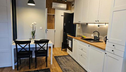URABN APARTMENTS Studio with garden No 2A Chorzów Katowice FREE PRIVATE PARKING, Self CHECK-IN - Foto 3