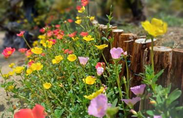 Ventos do Delta Kite Chalés - Photo 32