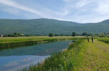 Apartman Kristina - Photo 17