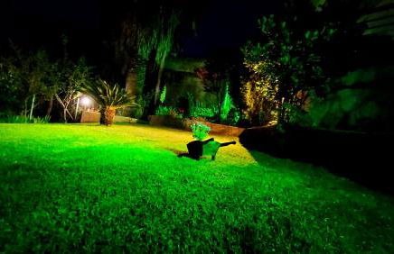 Michael's Apartment's - Foto 16