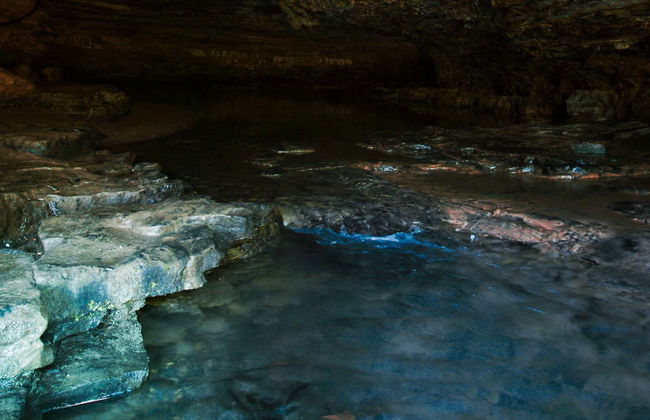 Tour di 2 giorni a Misahuallí - Foto 1