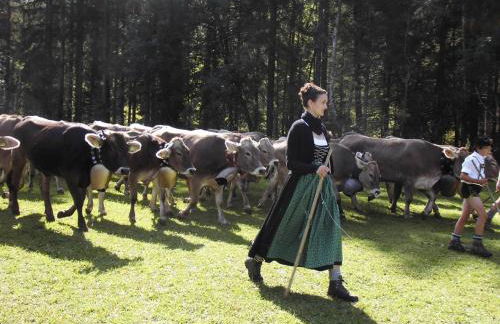 Haus Deidl - Foto 18