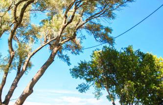 Villa Spitaki - Photo 35