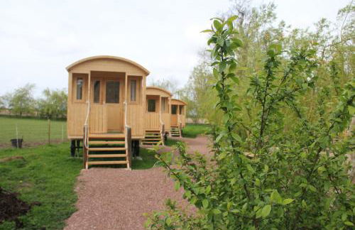 LOGIS DU GRAND PIN - Photo 9