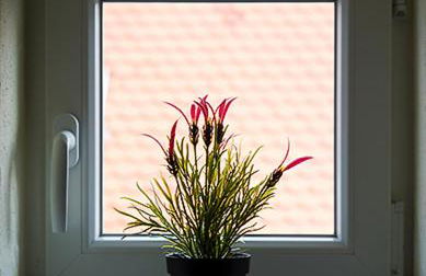 Ferienwohnung Alte Schmiede - Foto 11