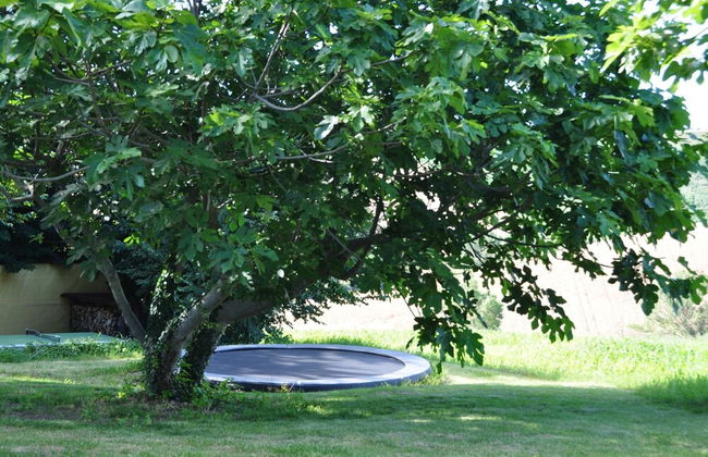 Amazing Apartment in Belvedere Ostrense With Garden - Foto 43