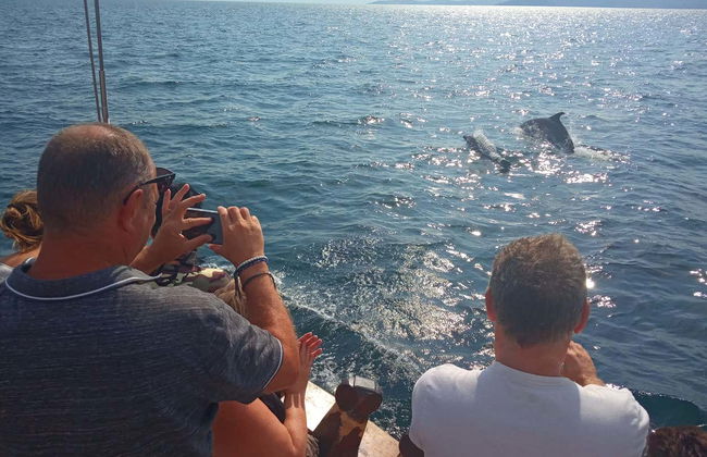 Giro in barca nel Golfo di Arta - Foto 5