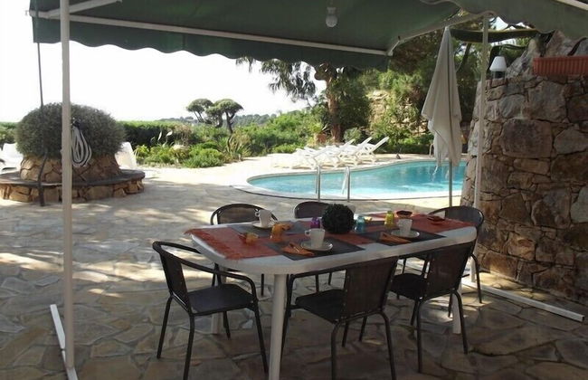 Danlux Palmera - Foto 13