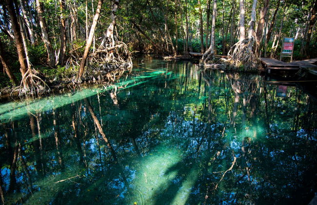 Excursión a Celestún - Foto 7